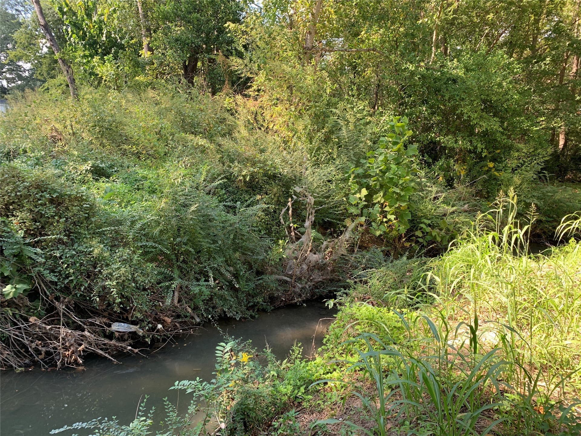 1.95 acres in Henderson County - photo 7