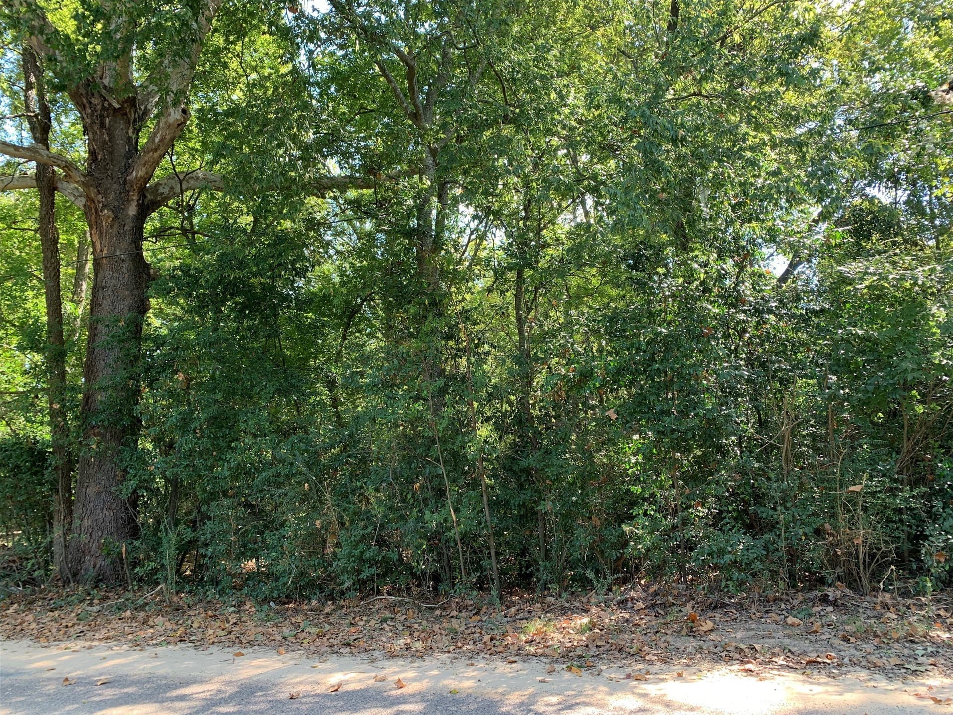 1.95 acres in Henderson County gallery image 3