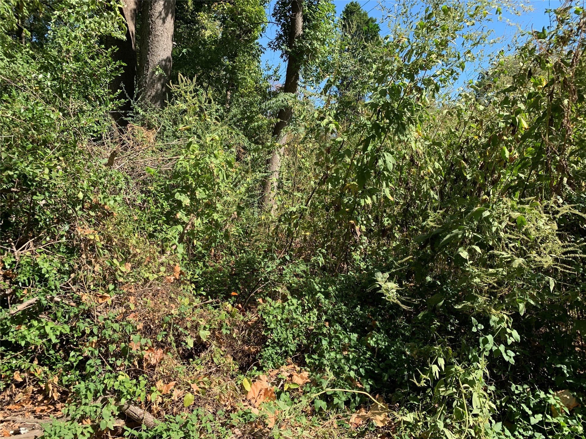 1.95 acres in Henderson County - photo 8
