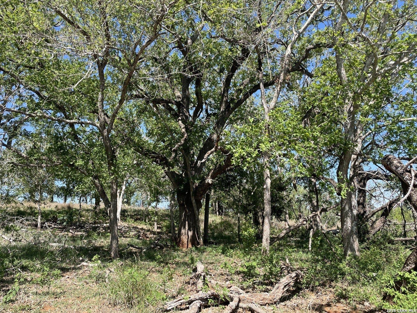 2.57 acres in Wilson County - photo 8