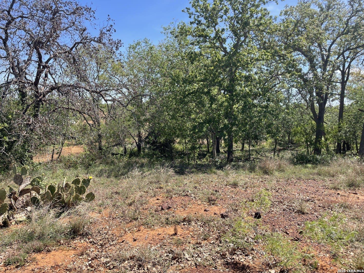 2.57 acres in Wilson County - photo 21