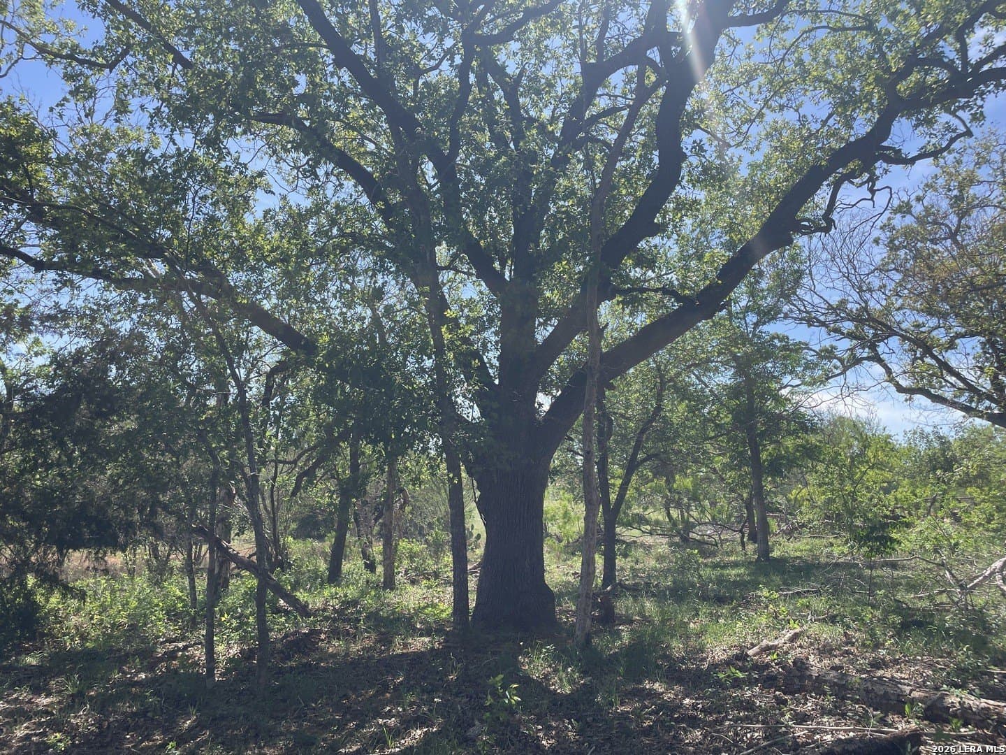2.57 acres in Wilson County - photo 9