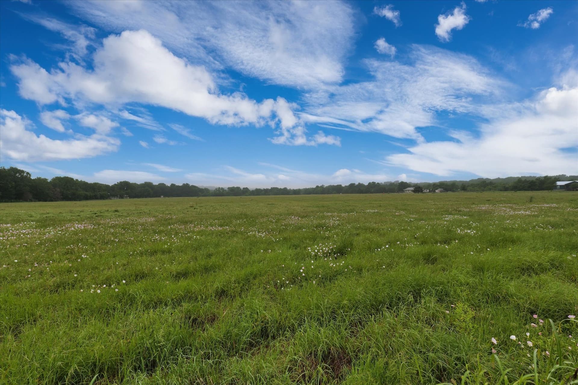 15.71 acres in McLennan County - photo 15