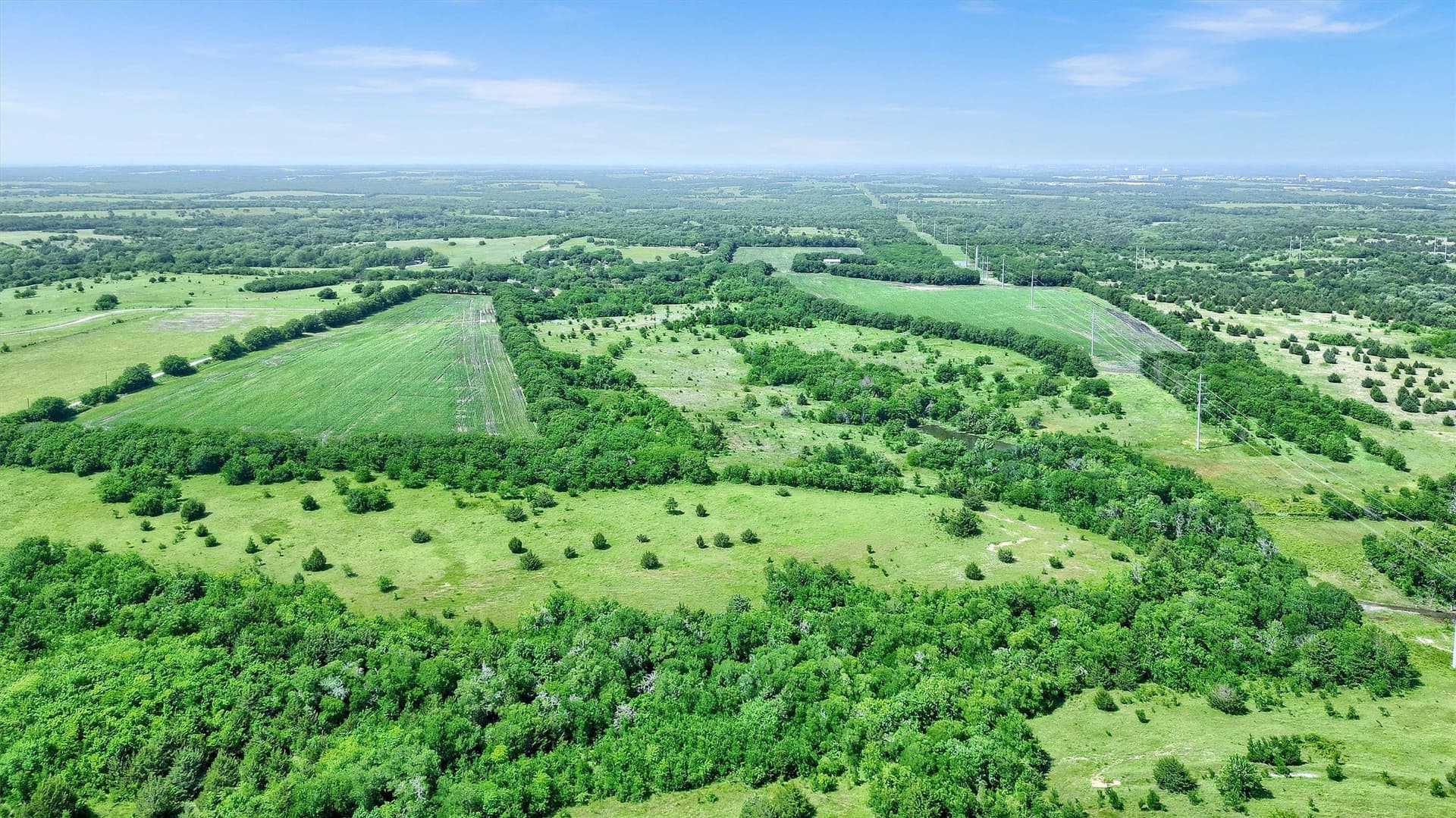 90.89 acres in Grayson County - photo 6