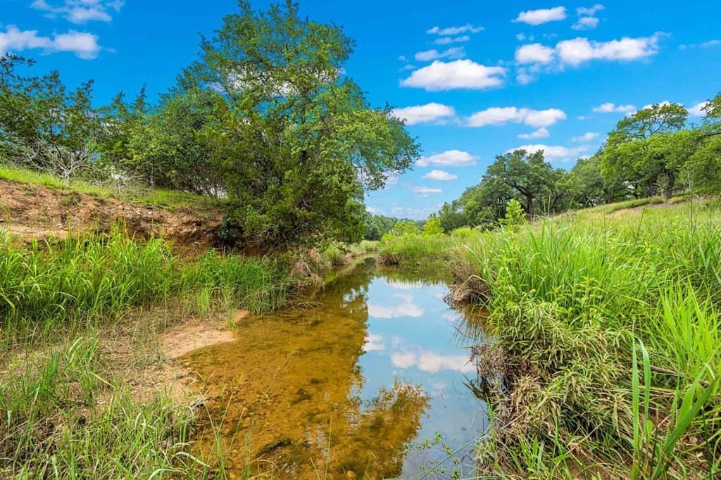 31.21 acres in Gillespie County gallery image 4