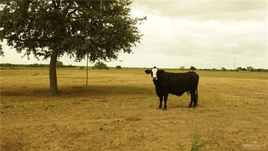 30.34 acres in Hidalgo County - photo 29
