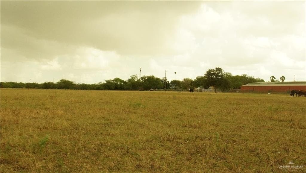 30.34 acres in Hidalgo County - photo 31