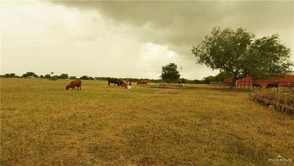 30.34 acres in Hidalgo County - photo 30