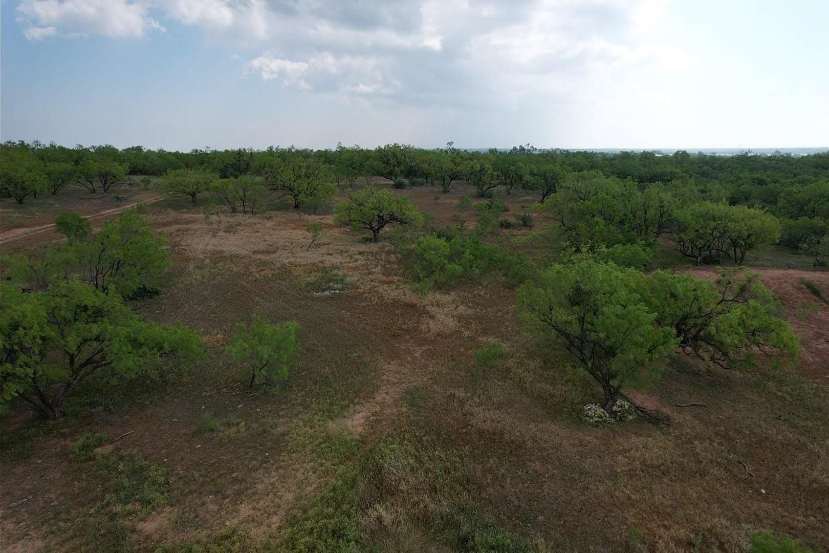 176.85 acres in Jones County - photo 7