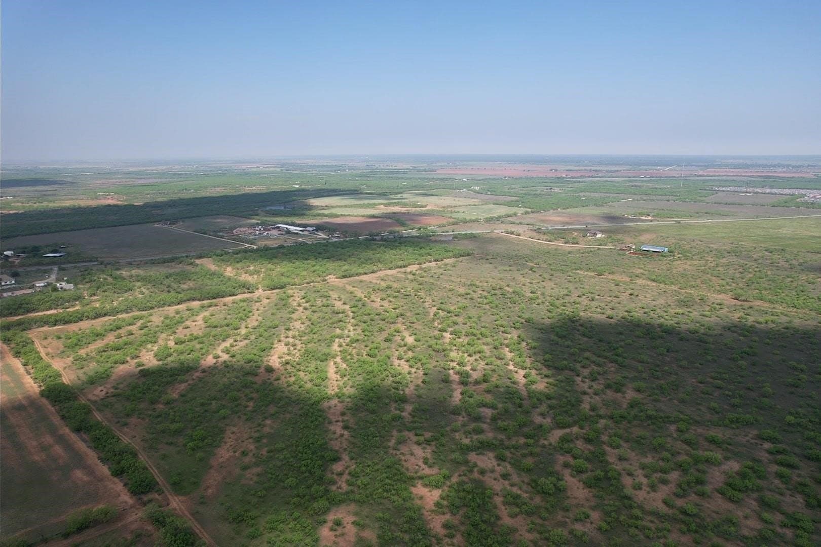 176.85 acres in Jones County gallery image 4