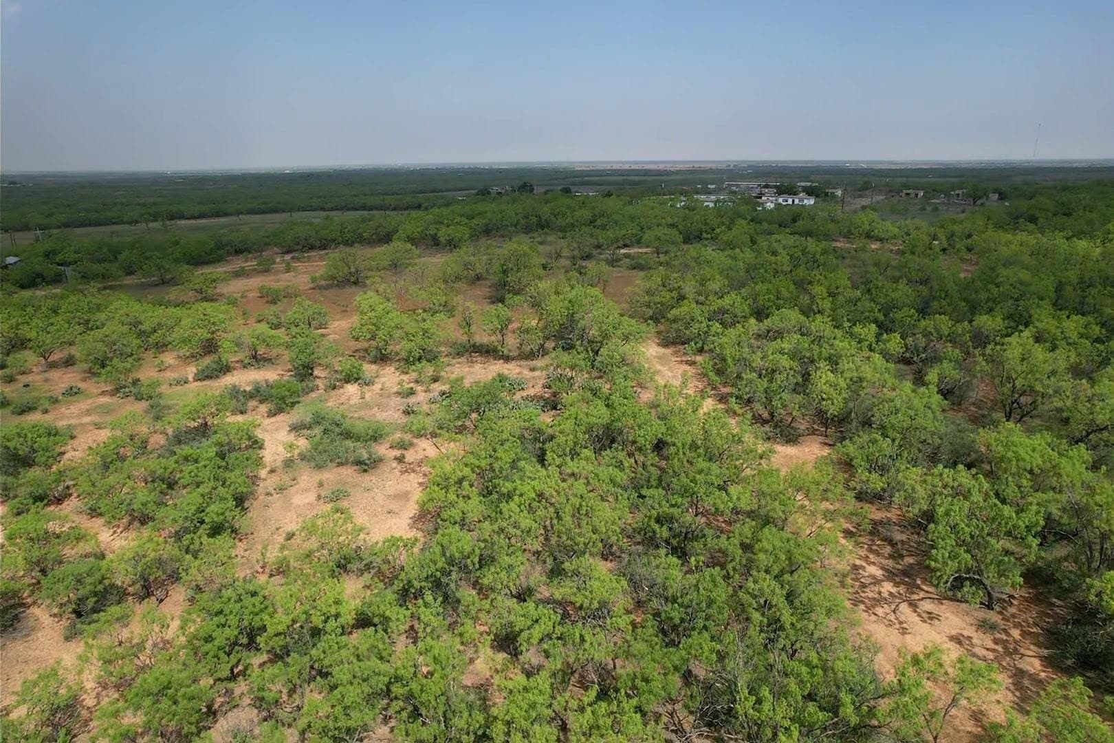 176.85 acres in Jones County - photo 15