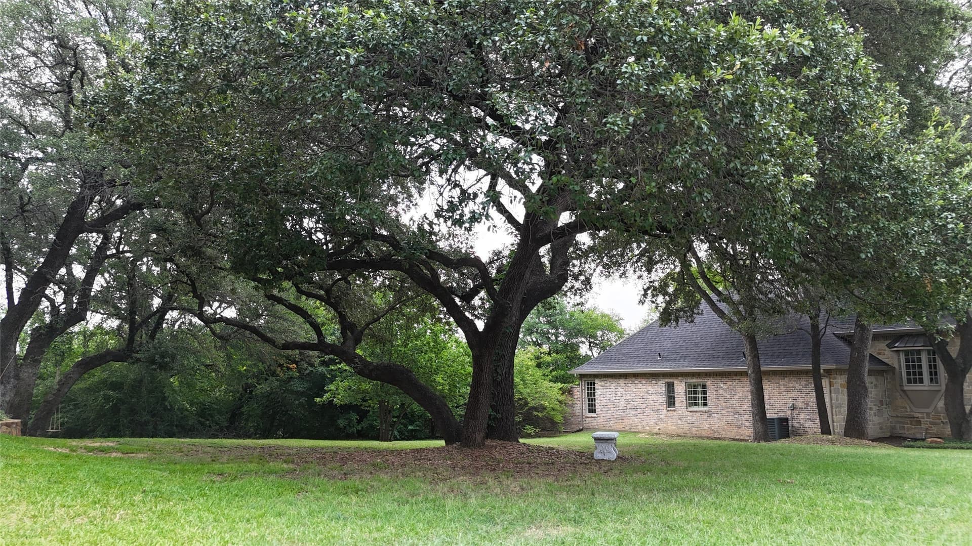 0.35 acres in Tarrant County gallery image 4