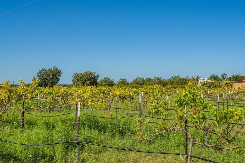 14.75 acres in Gillespie County - photo 21