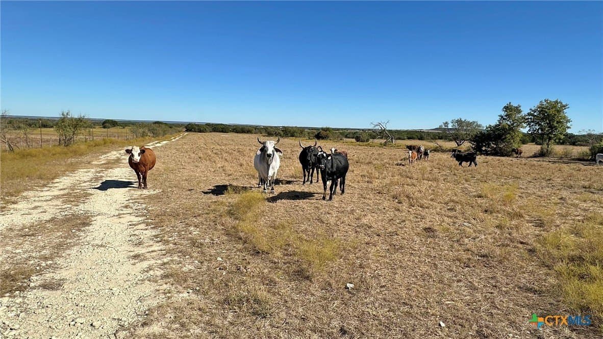 130.03 acres in Lampasas County - photo 7