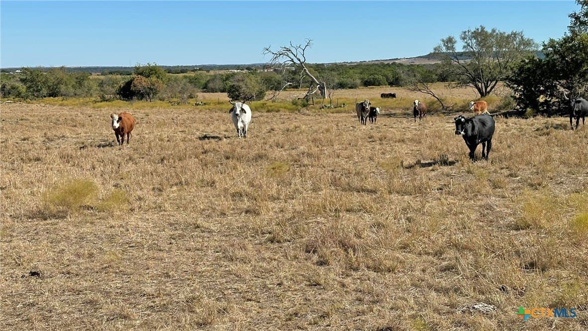 130.03 acres in Lampasas County - photo 9
