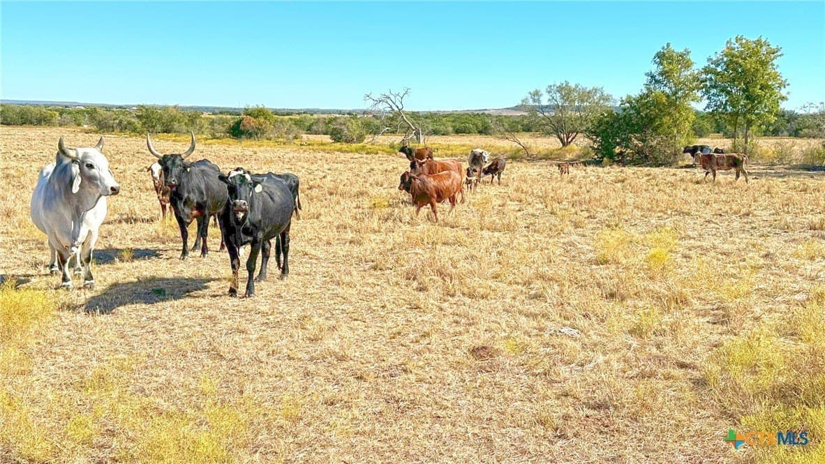 130.03 acres in Lampasas County featured view