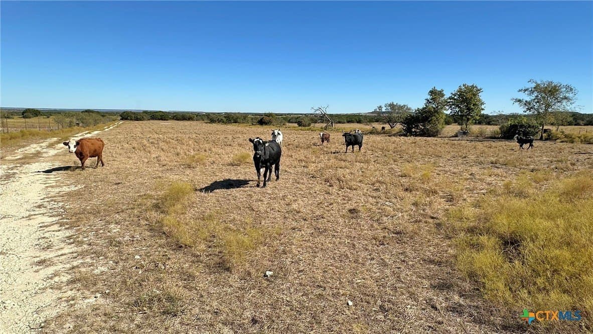 130.03 acres in Lampasas County - photo 8