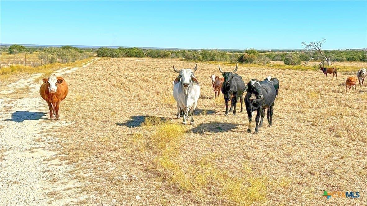 130.03 acres in Lampasas County - photo 6