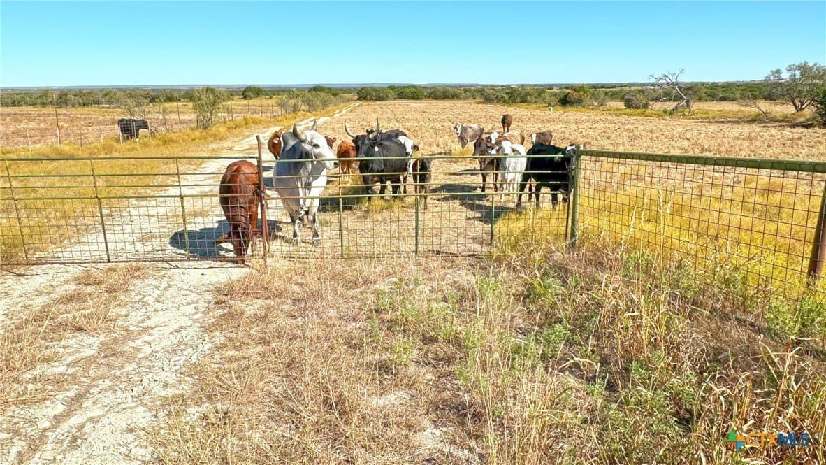 130.03 acres in Lampasas County gallery image 3