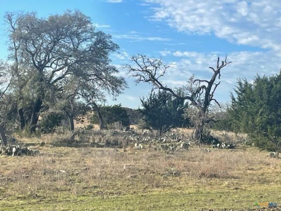 6.34 acres in Burnet County - photo 8