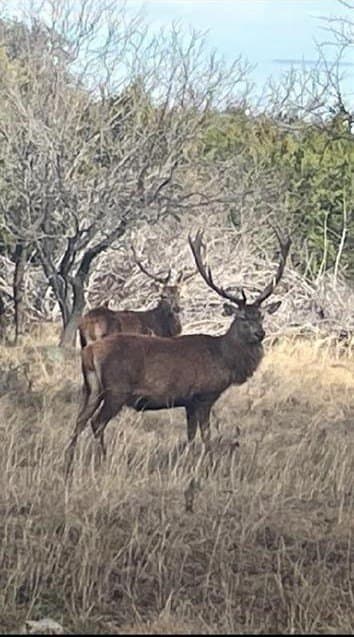 6.34 acres in Burnet County - photo 11