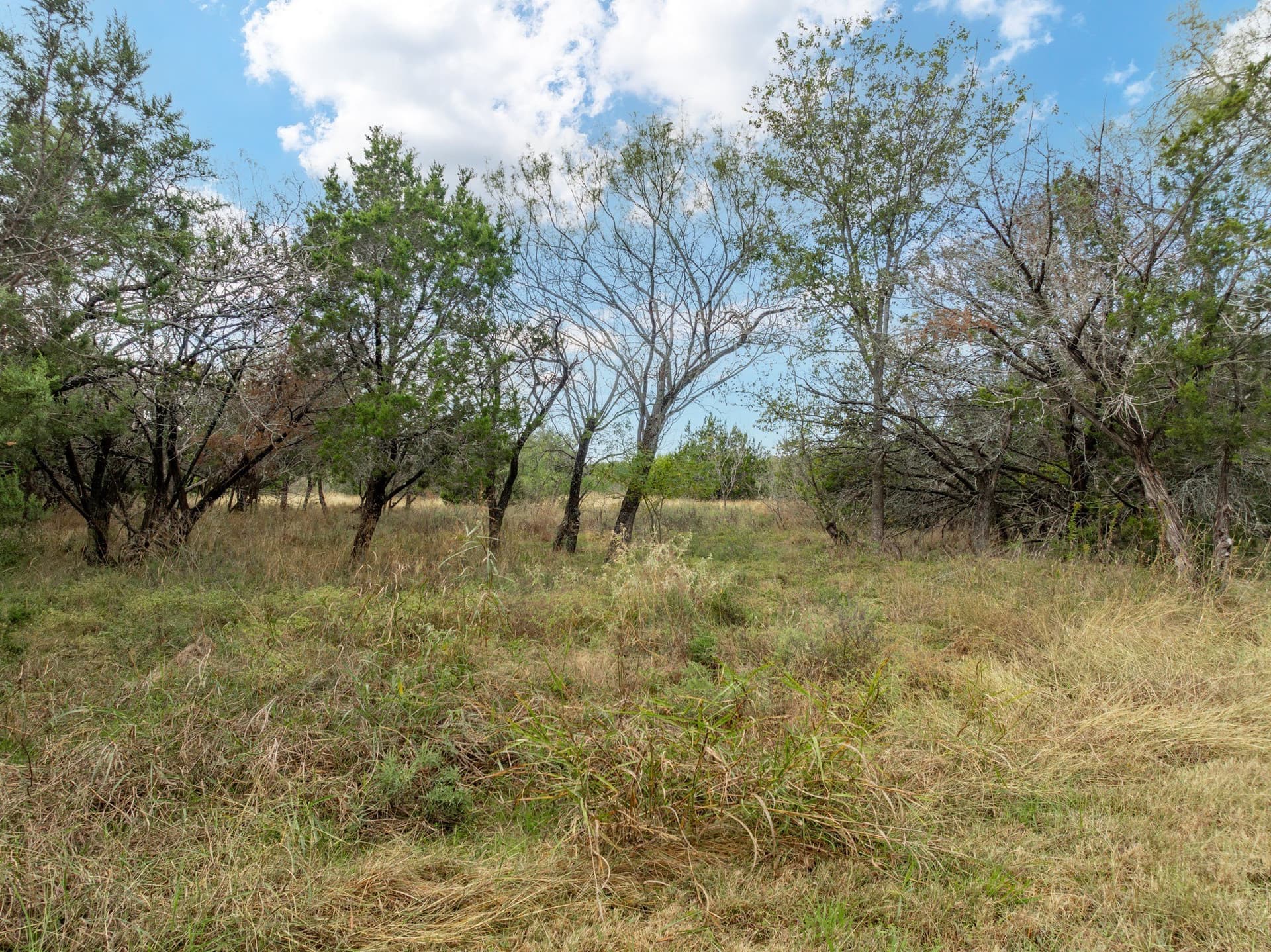 0.13 acres in Hill County - photo 7