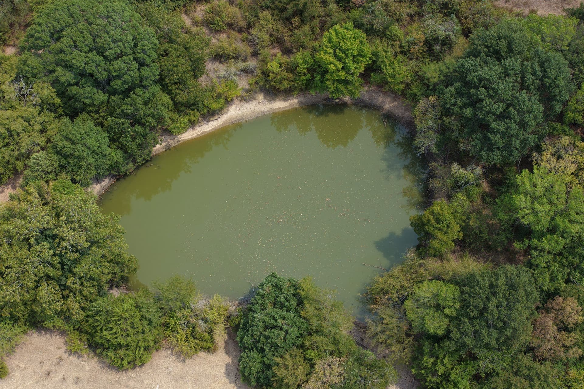 56.88 acres in Ellis County - photo 6