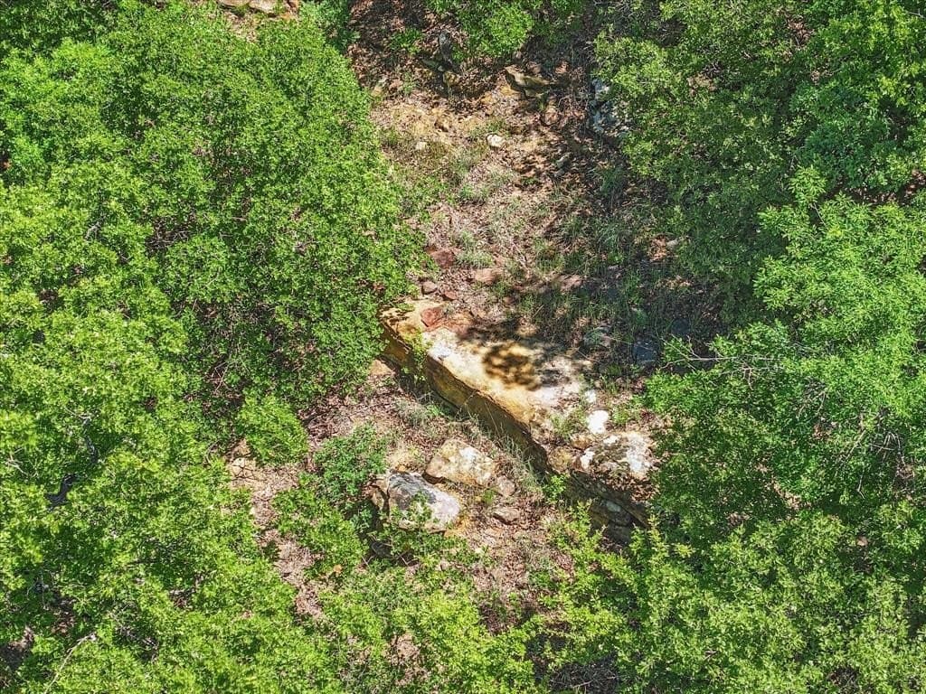 1.01 acres in Wise County gallery image 4
