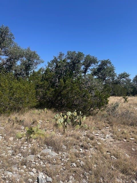 10.04 acres in Kimble County gallery image 3