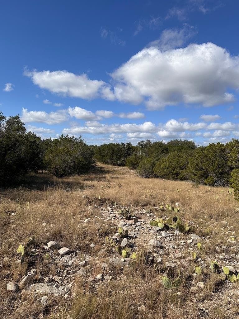 10.04 acres in Kimble County - photo 28