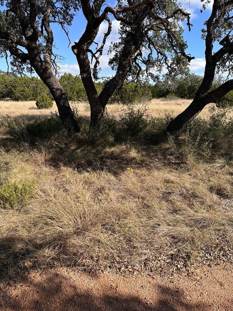 10.04 acres in Kimble County - photo 22