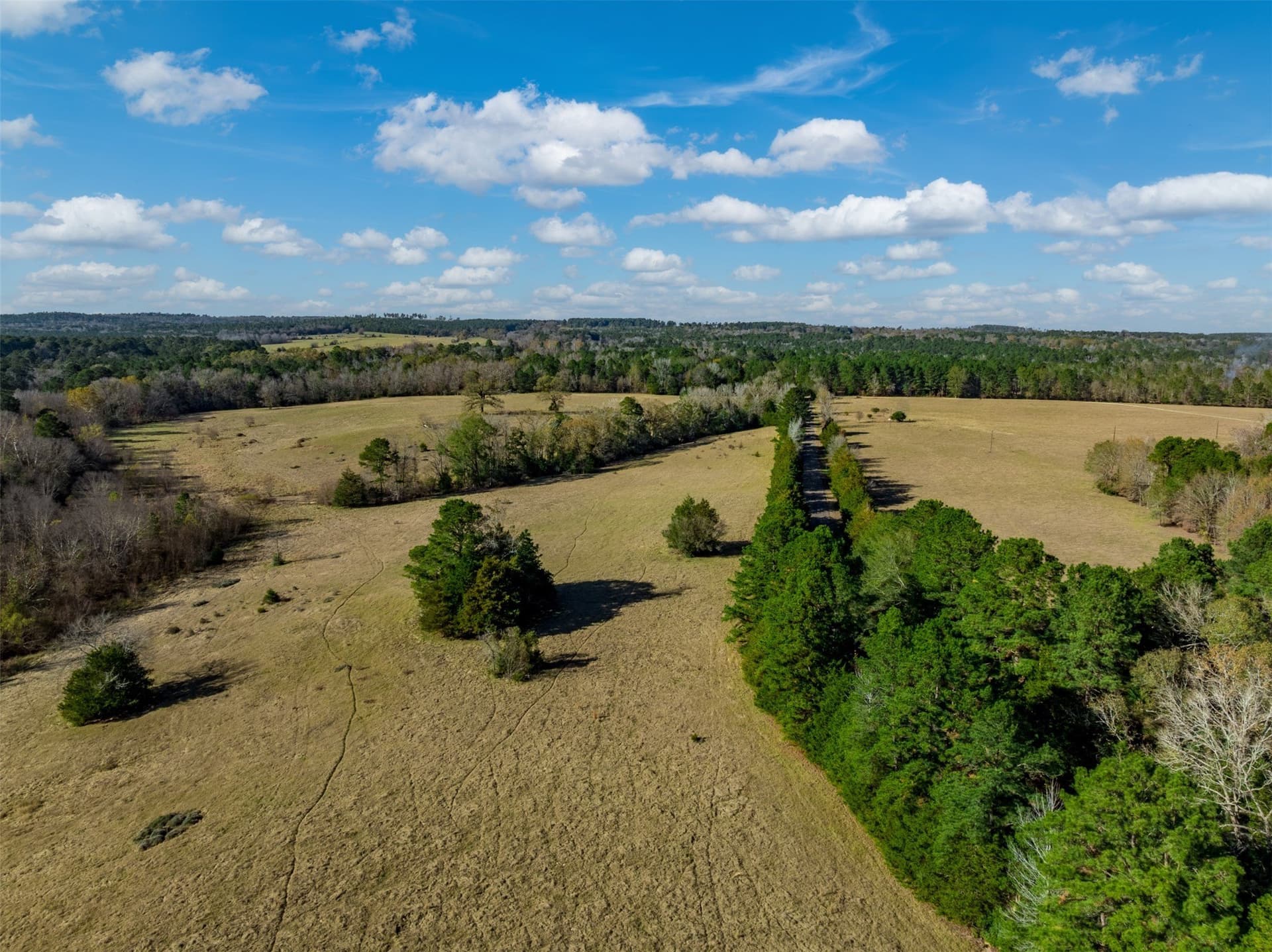 40.29 acres in Anderson County - photo 8