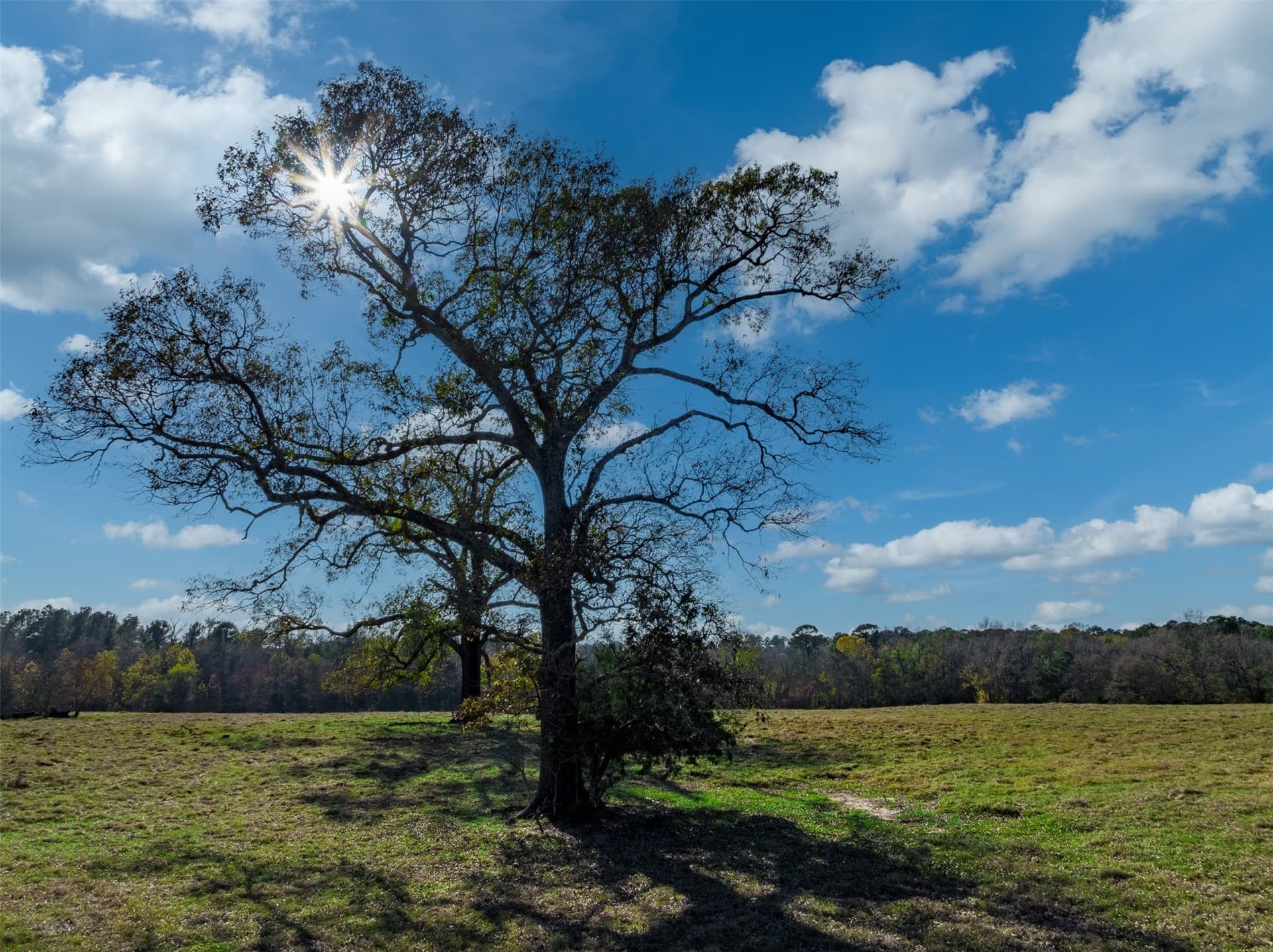 40.29 acres in Anderson County - photo 4