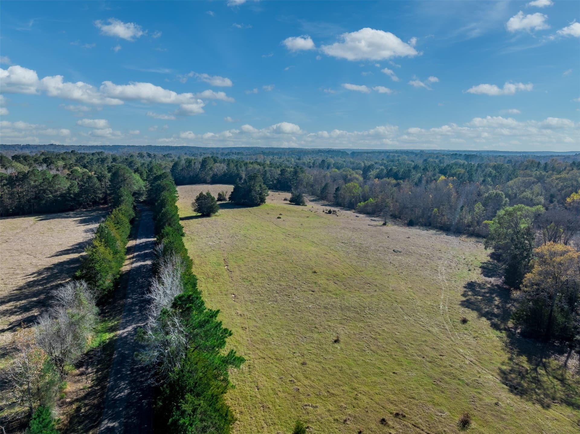 40.29 acres in Anderson County - photo 7