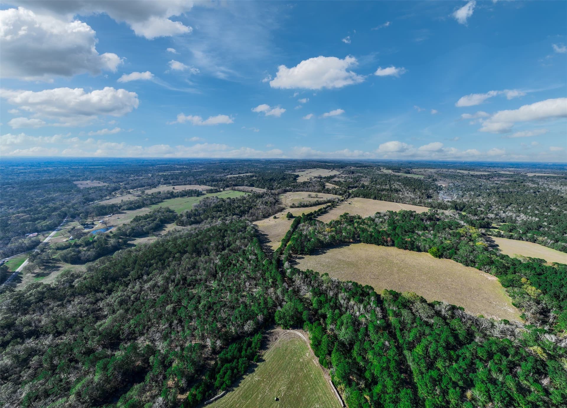 40.29 acres in Anderson County - photo 13