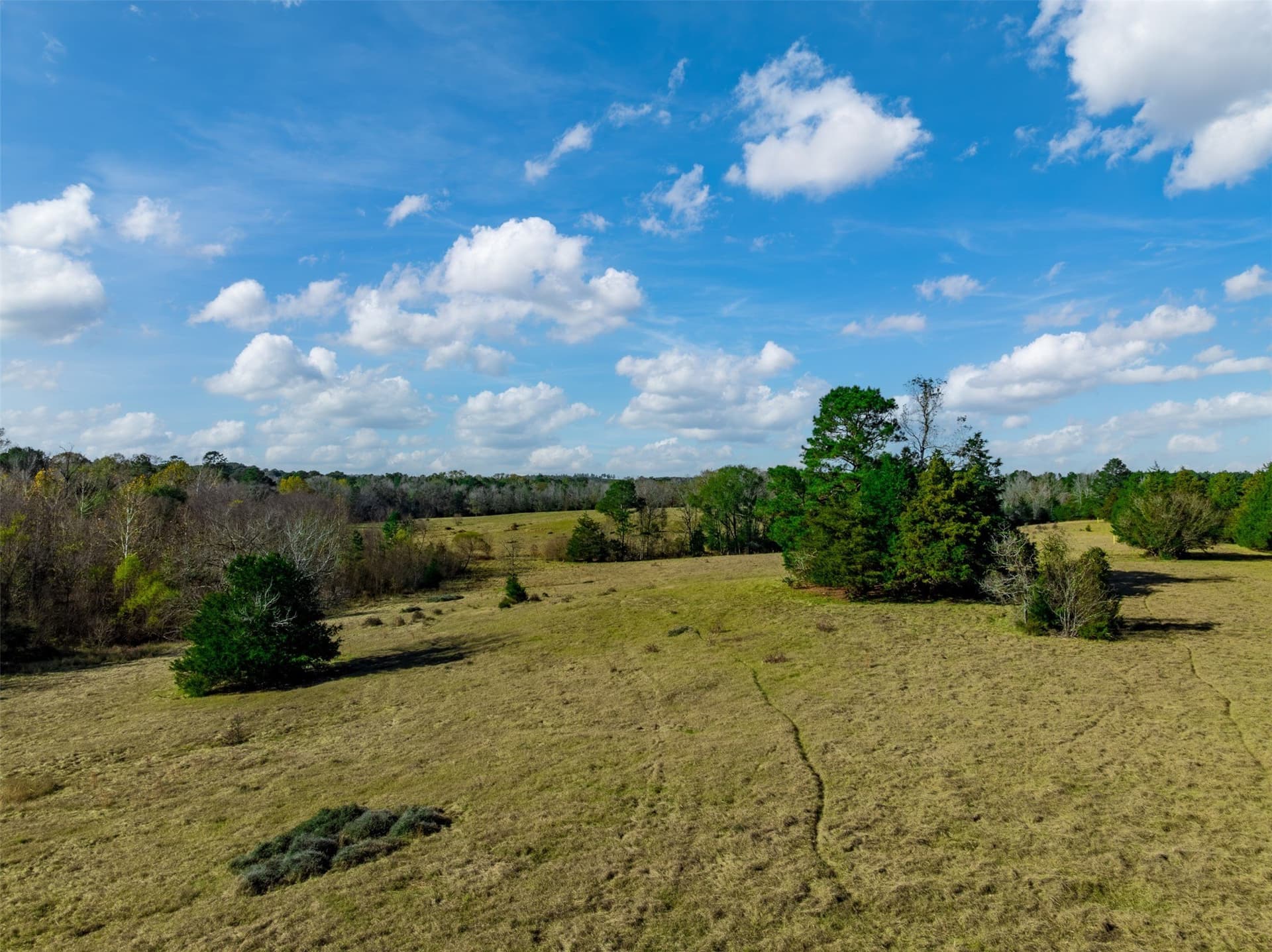 40.29 acres in Anderson County - photo 9