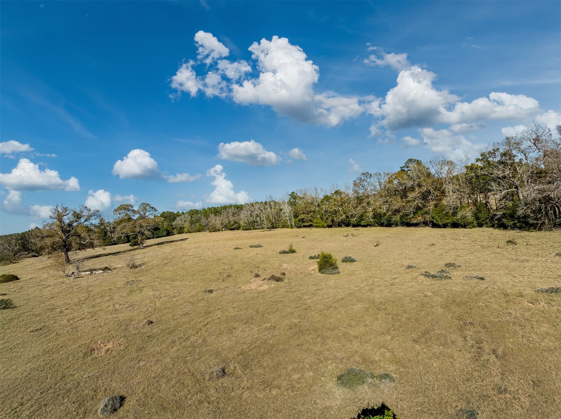 40.29 acres in Anderson County - photo 6