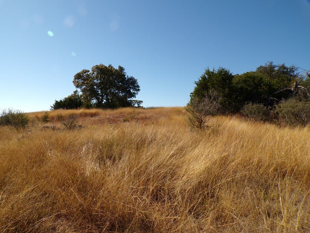 10.1 acres in Kerr County - photo 14