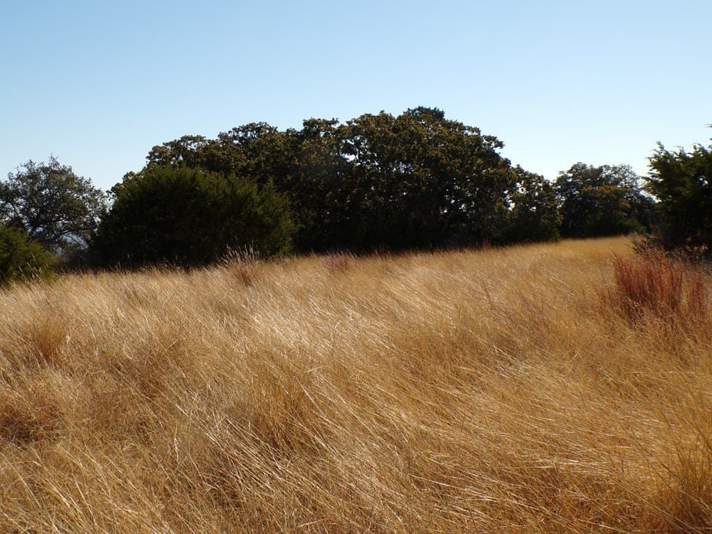 10.1 acres in Kerr County - photo 8