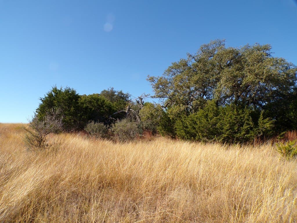 10.1 acres in Kerr County - photo 13