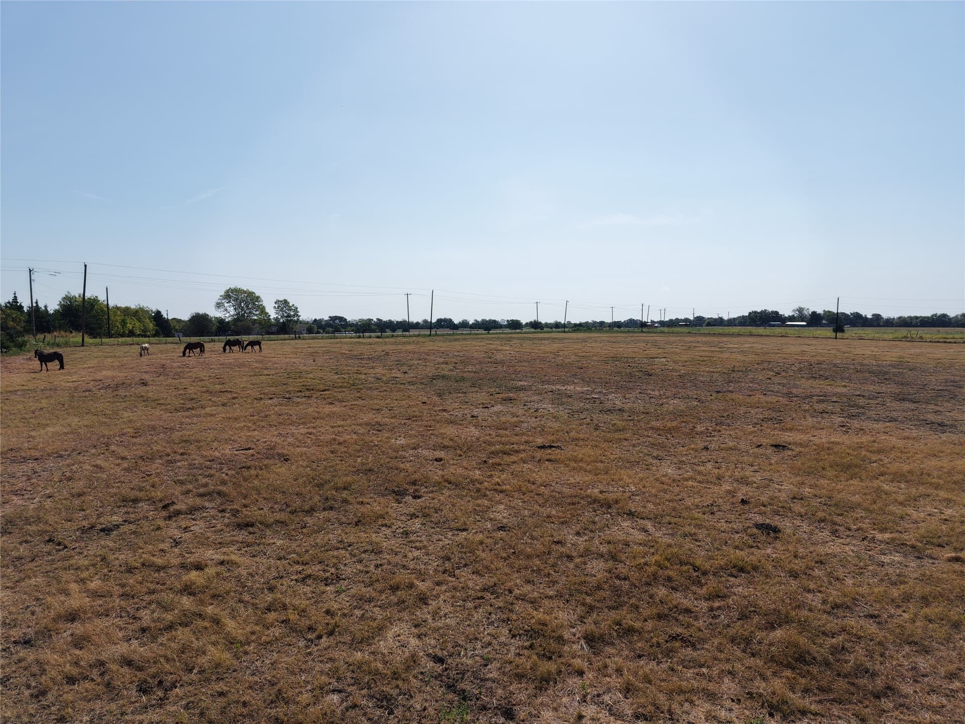 40.16 acres in Hunt County - photo 17