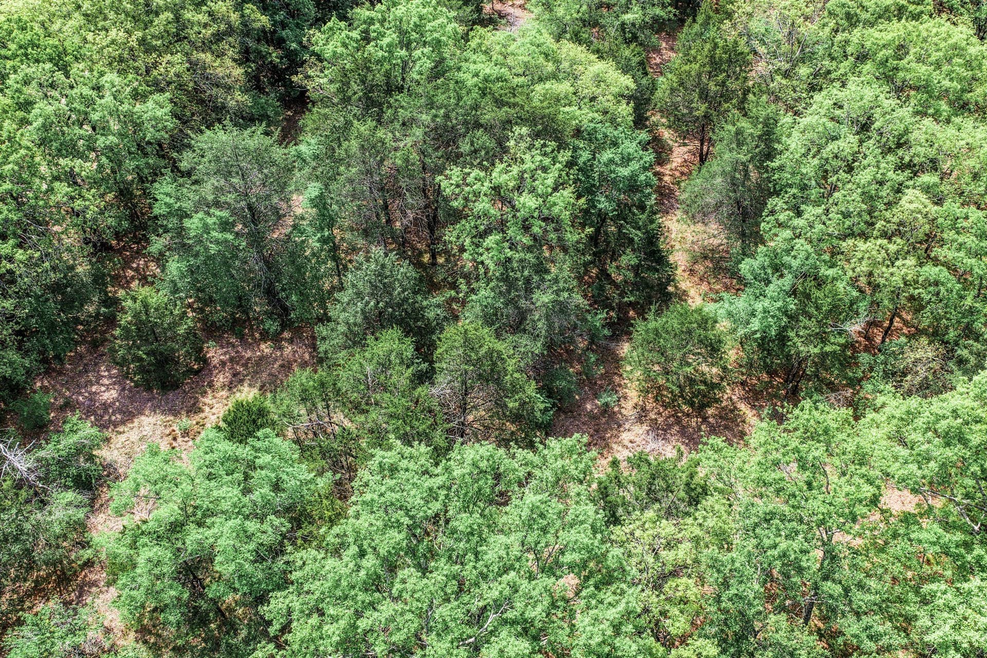 25 acres in Hunt County - photo 6