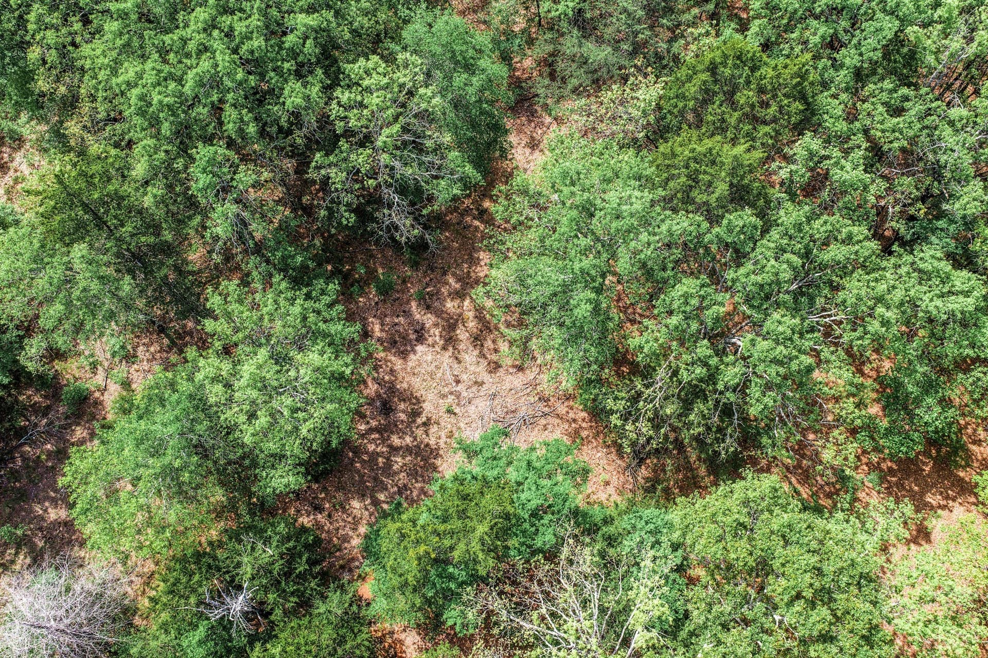25 acres in Hunt County - photo 7