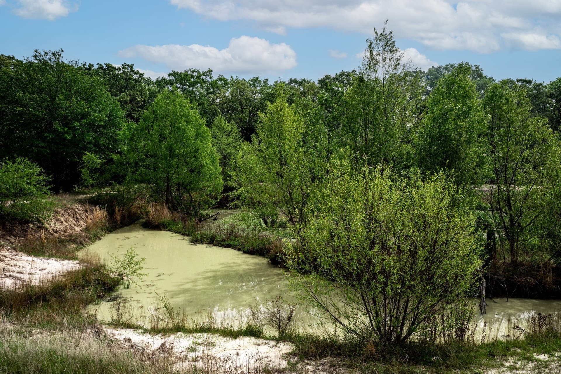 25 acres in Hunt County - photo 23