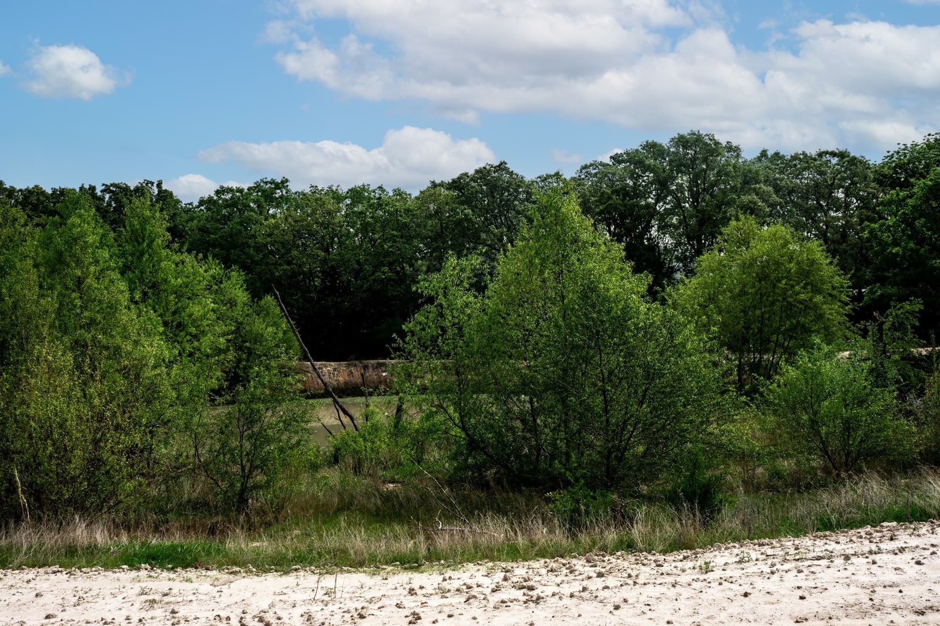 25 acres in Hunt County - photo 22