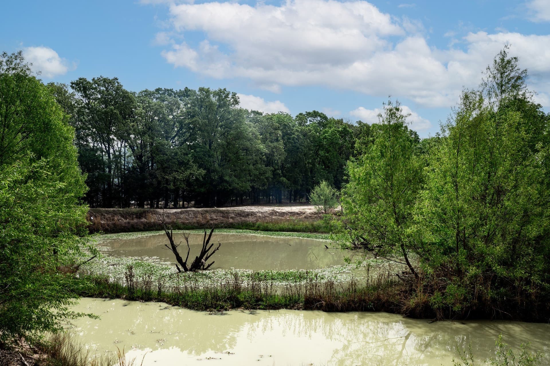 25 acres in Hunt County - photo 24