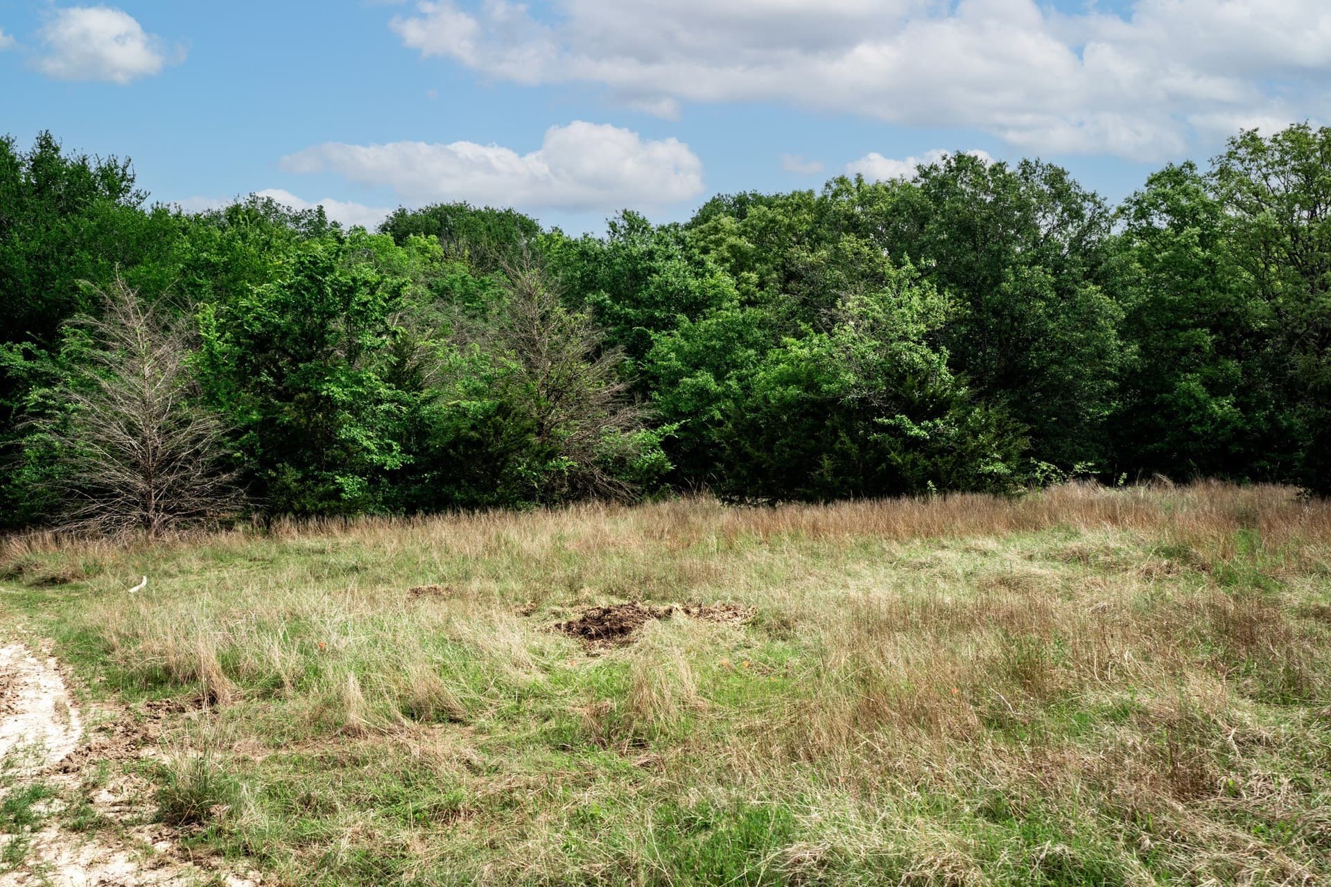 25 acres in Hunt County - photo 26