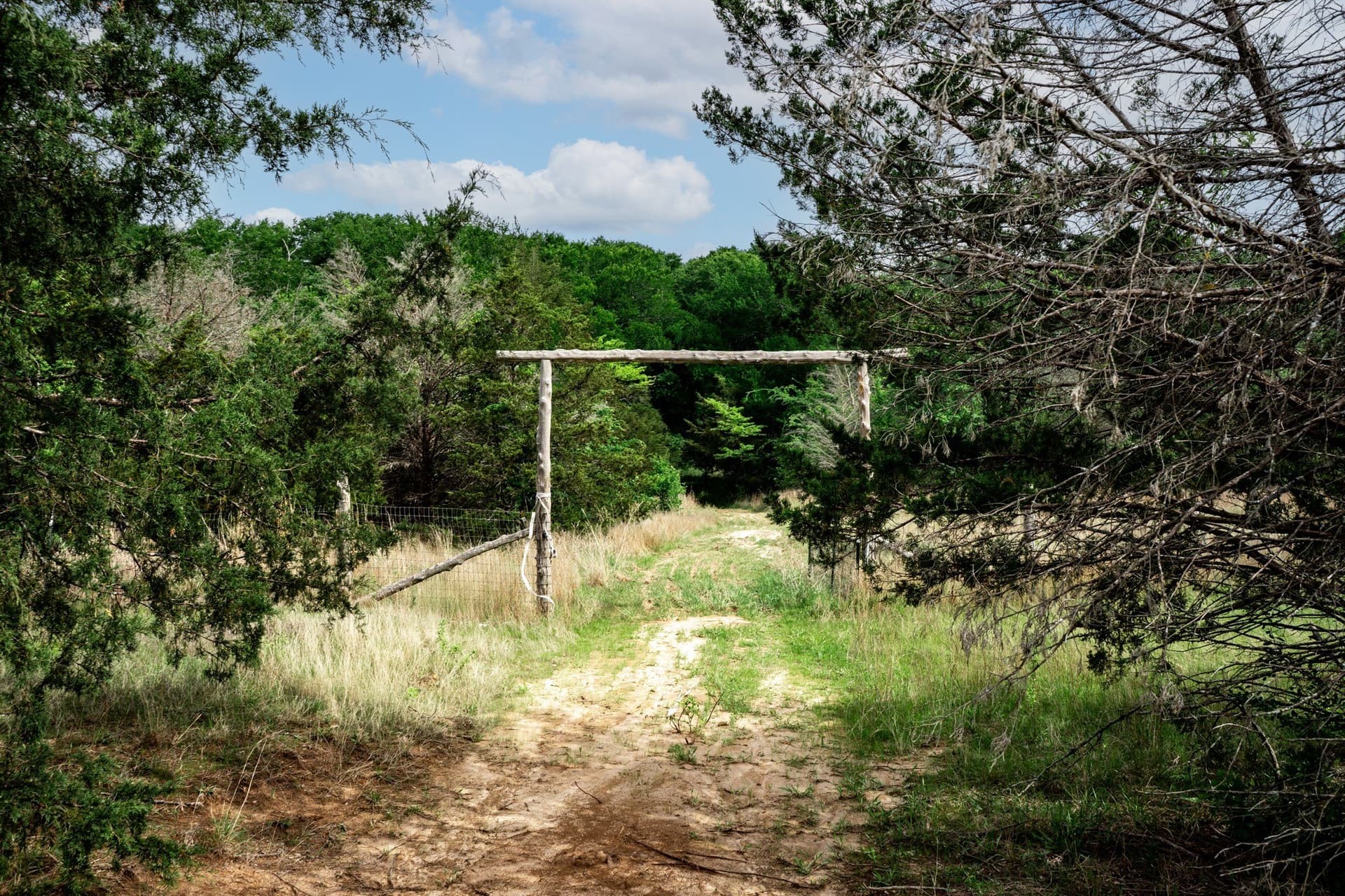25 acres in Hunt County - photo 25