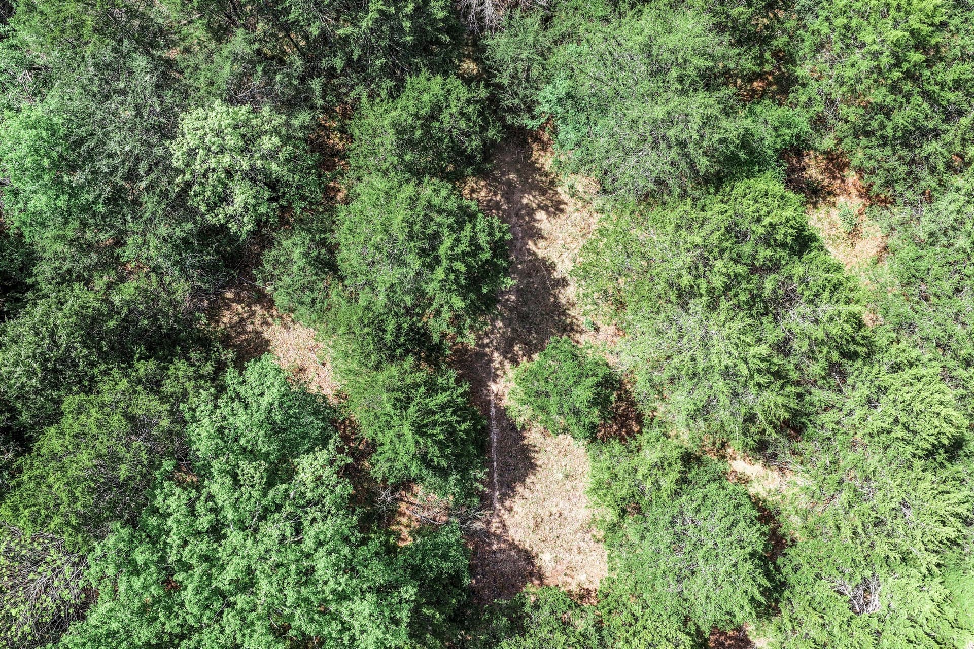 25 acres in Hunt County - photo 8