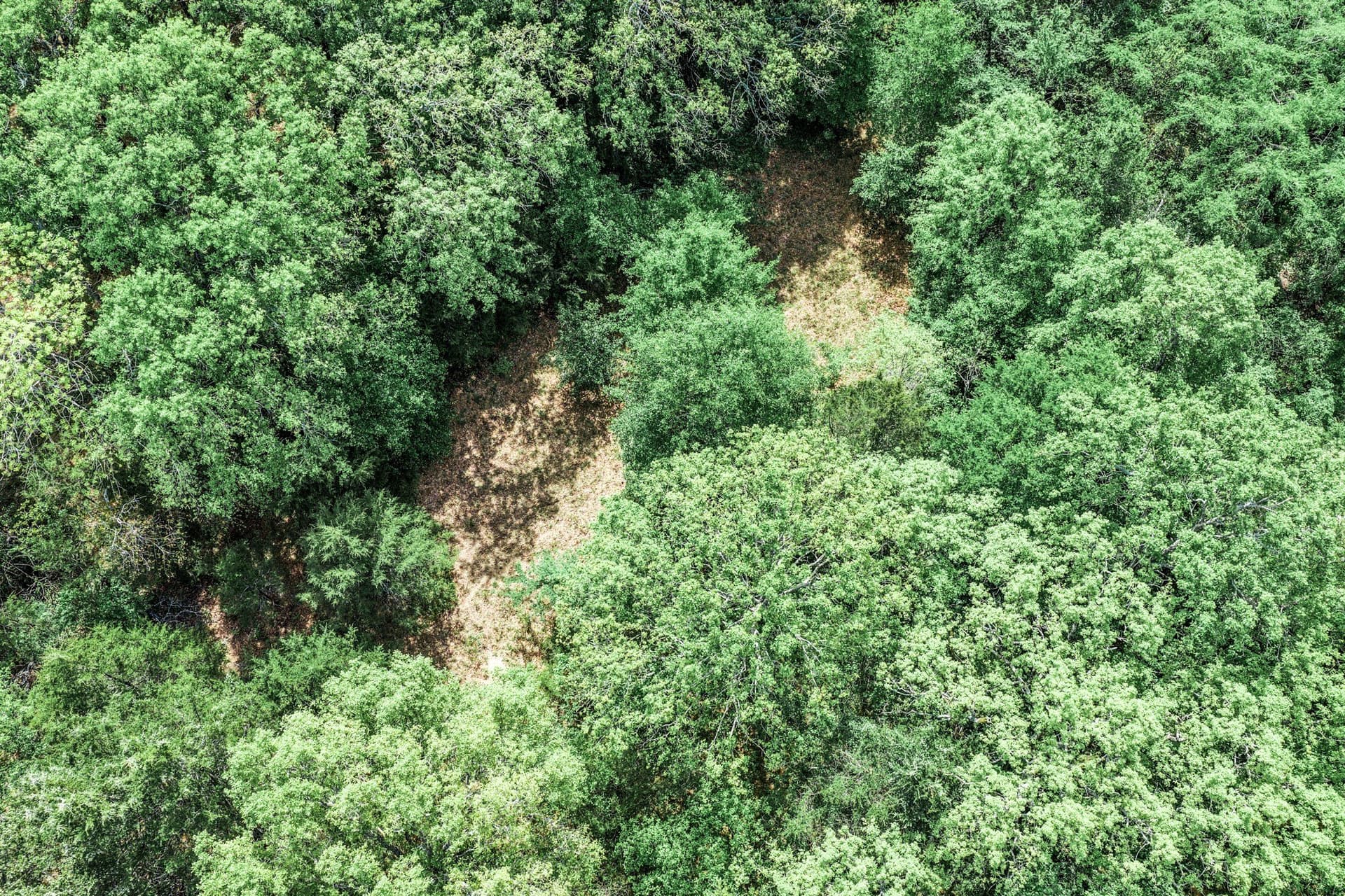 25 acres in Hunt County - photo 9